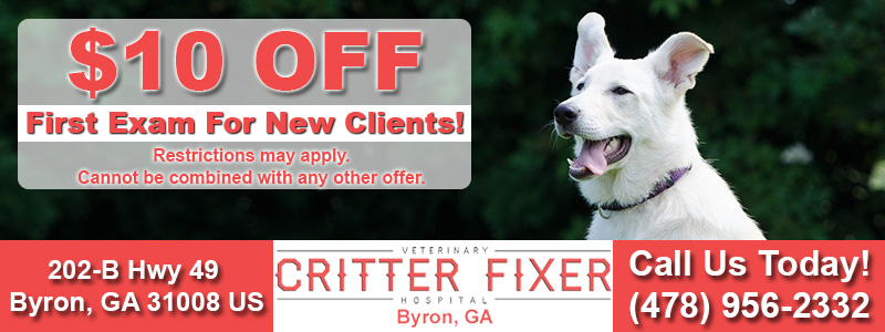 critterfixerbyronnewclientspecial